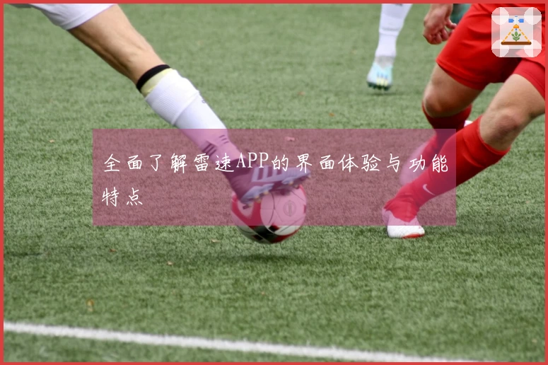 全面了解雷速APP的界面体验与功能特点