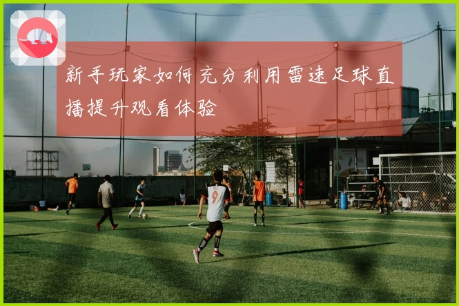 新手玩家如何充分利用雷速足球直播提升观看体验