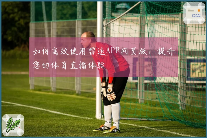 如何高效使用雷速APP网页版，提升您的体育直播体验